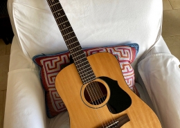 best folding travel guitar