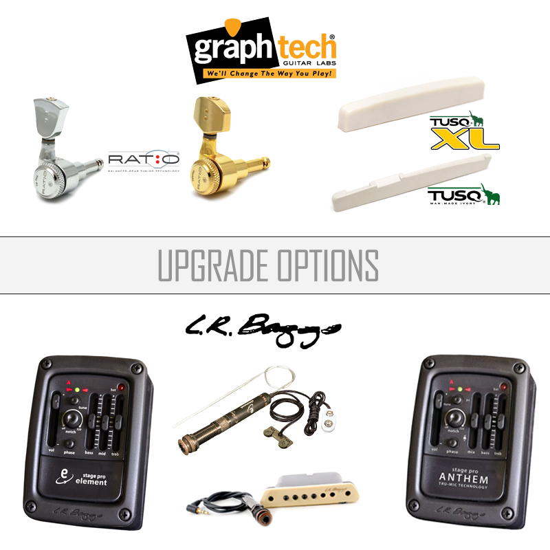 Upgrade Options