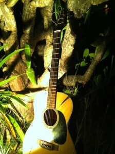 Tim Brookes Vieques8